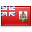 Lingua Bermuda