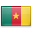 \"Lingua