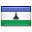 \"Lingua