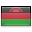 \"Lingua